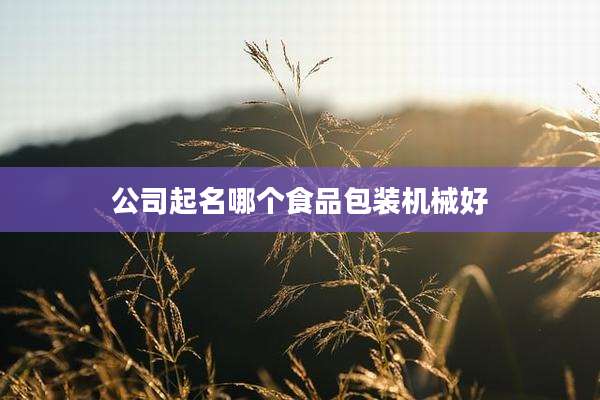 公司起名哪个食品包装机械好