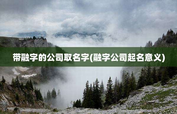 带融字的公司取名字(融字公司起名意义)