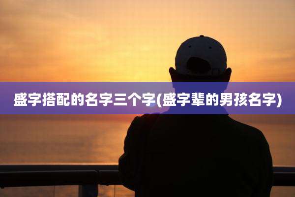 盛字搭配的名字三个字(盛字辈的男孩名字)