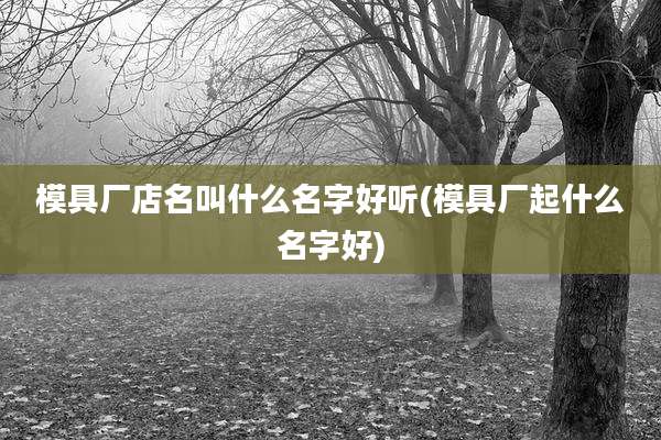 模具厂店名叫什么名字好听(模具厂起什么名字好)