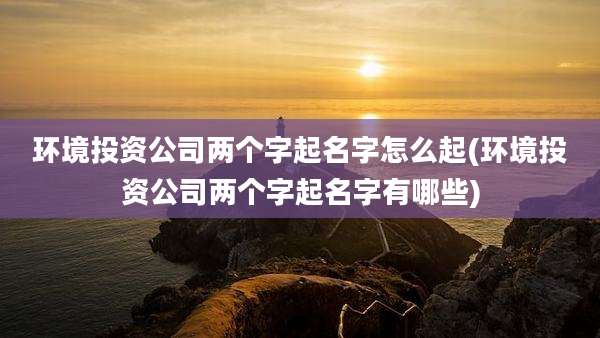环境投资公司两个字起名字怎么起(环境投资公司两个字起名字有哪些)