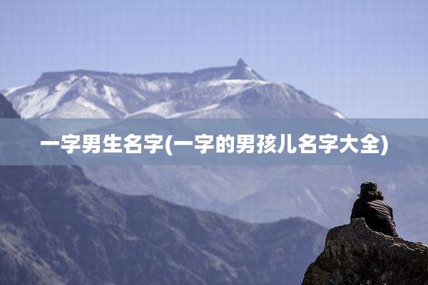一字男生名字(一字的男孩儿名字大全)