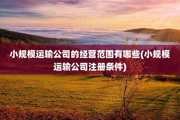 小规模运输公司的经营范围有哪些(小规模运输公司注册条件)