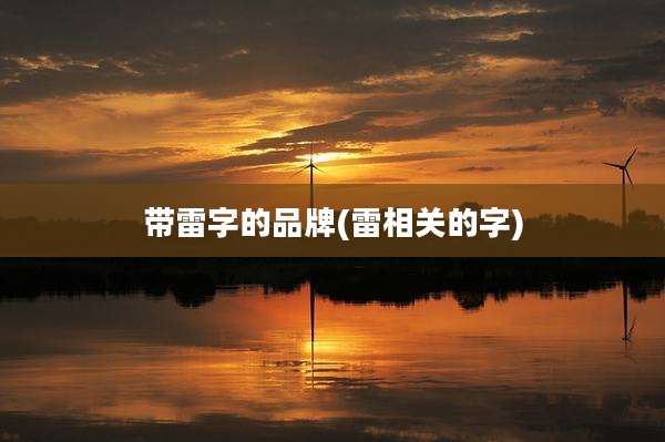 带雷字的品牌(雷相关的字)
