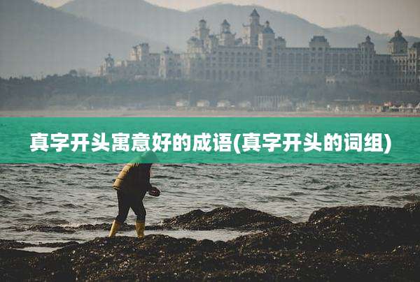 真字开头寓意好的成语(真字开头的词组)