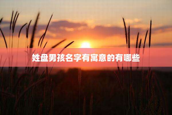 姓盘男孩名字有寓意的有哪些