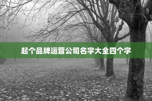起个品牌运营公司名字大全四个字