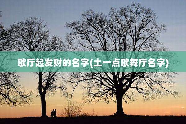 歌厅起发财的名字(土一点歌舞厅名字)