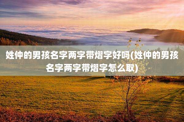 姓仲的男孩名字两字带熠字好吗(姓仲的男孩名字两字带熠字怎么取)
