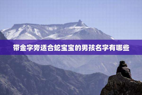 带金字旁适合蛇宝宝的男孩名字有哪些