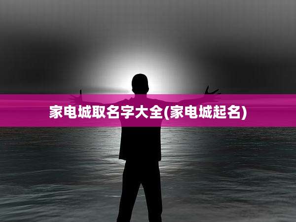 家电城取名字大全(家电城起名)