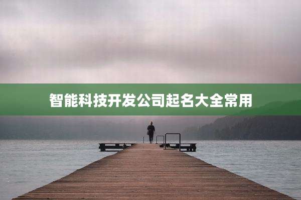 智能科技开发公司起名大全常用