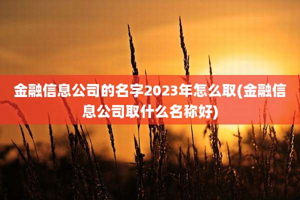 金融信息公司的名字2023年怎么取(金融信息公司取什么名称好)