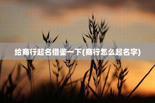 给商行起名借鉴一下(商行怎么起名字)