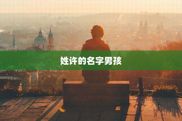 姓许的名字男孩
