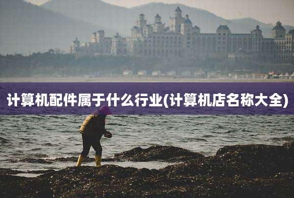 计算机配件属于什么行业(计算机店名称大全)