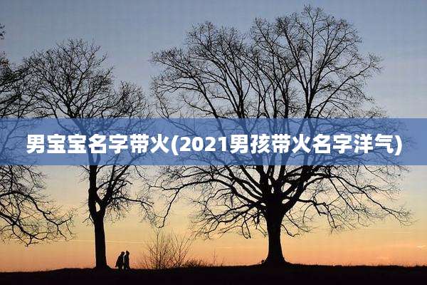 男宝宝名字带火(2021男孩带火名字洋气)
