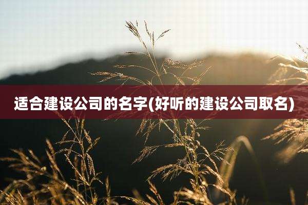 适合建设公司的名字(好听的建设公司取名)