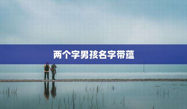 两个字男孩名字带蕴