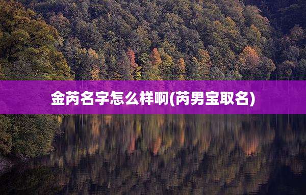 金芮名字怎么样啊(芮男宝取名)