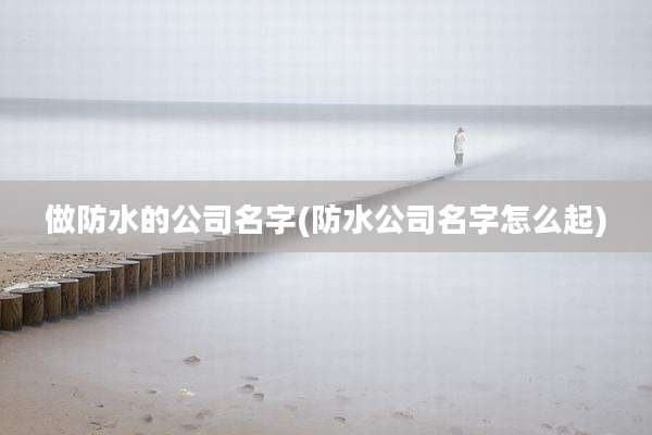 做防水的公司名字(防水公司名字怎么起)