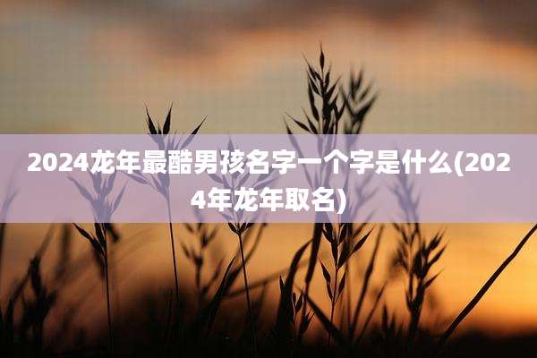 2024龙年最酷男孩名字一个字是什么(2024年龙年取名)