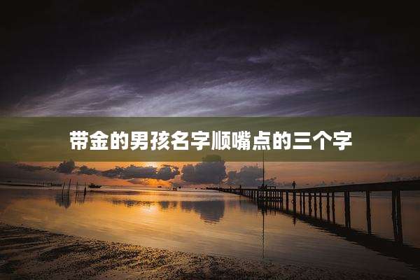 带金的男孩名字顺嘴点的三个字