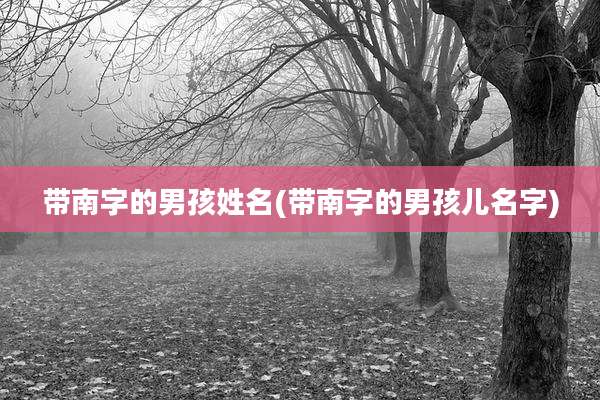 带南字的男孩姓名(带南字的男孩儿名字)