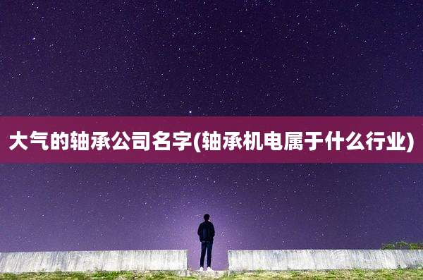 大气的轴承公司名字(轴承机电属于什么行业)