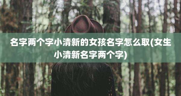名字两个字小清新的女孩名字怎么取(女生小清新名字两个字)