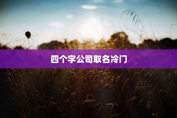 四个字公司取名冷门