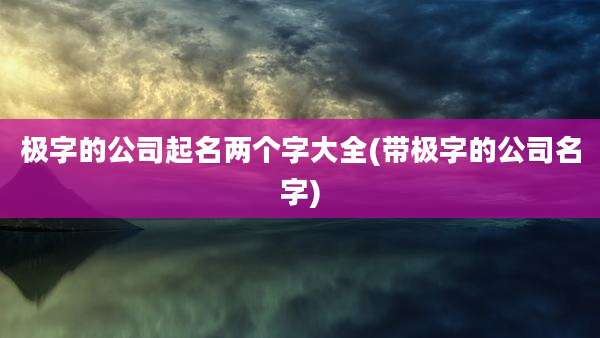 极字的公司起名两个字大全(带极字的公司名字)