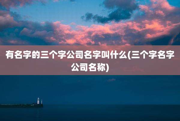 有名字的三个字公司名字叫什么(三个字名字公司名称)