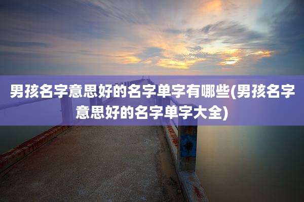 男孩名字意思好的名字单字有哪些(男孩名字意思好的名字单字大全)