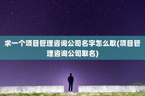 求一个项目管理咨询公司名字怎么取(项目管理咨询公司取名)