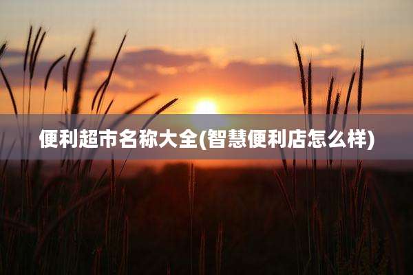 便利超市名称大全(智慧便利店怎么样)