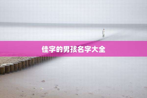 佳字的男孩名字大全