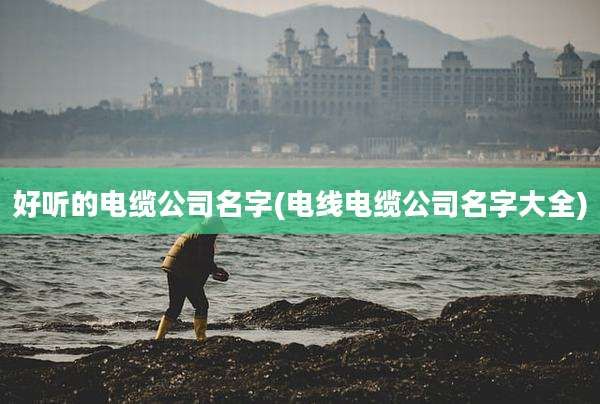 好听的电缆公司名字(电线电缆公司名字大全)