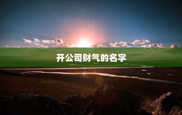 开公司财气的名字