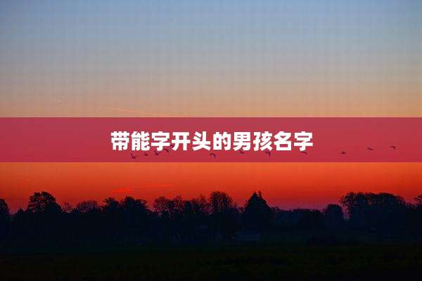 带能字开头的男孩名字
