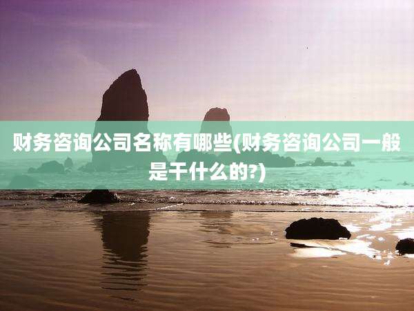 财务咨询公司名称有哪些(财务咨询公司一般是干什么的?)