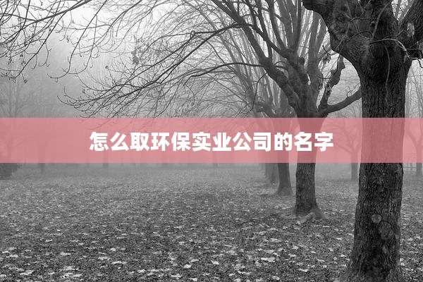 怎么取环保实业公司的名字