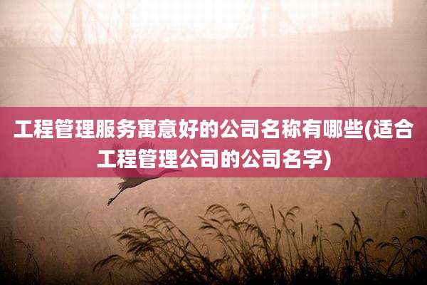 工程管理服务寓意好的公司名称有哪些(适合工程管理公司的公司名字)