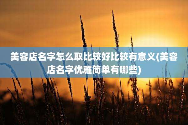 美容店名字怎么取比较好比较有意义(美容店名字优雅简单有哪些)