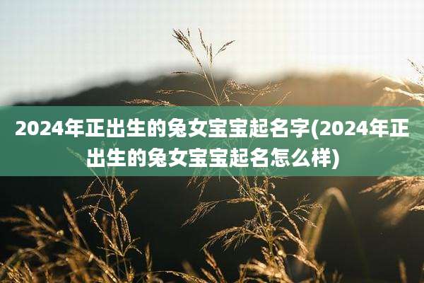 2024年正出生的兔女宝宝起名字(2024年正出生的兔女宝宝起名怎么样)