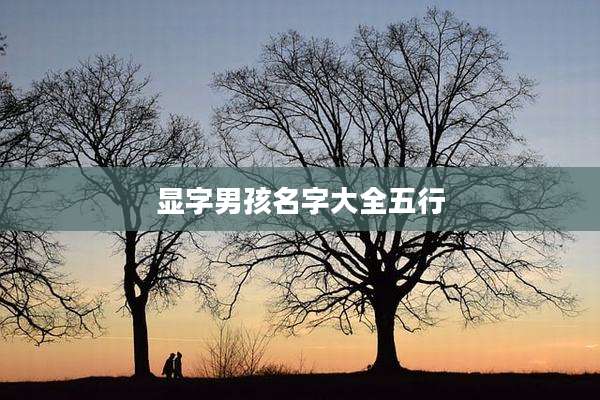显字男孩名字大全五行