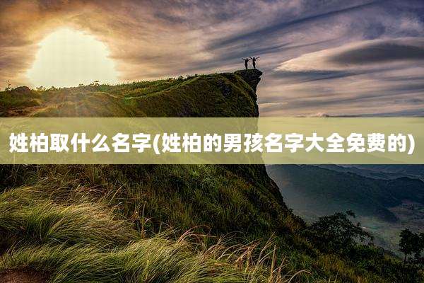 姓柏取什么名字(姓柏的男孩名字大全免费的)