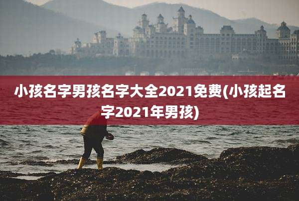 小孩名字男孩名字大全2021免费(小孩起名字2021年男孩)