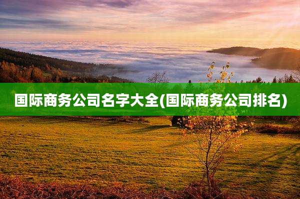 国际商务公司名字大全(国际商务公司排名)