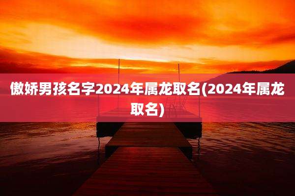 傲娇男孩名字2024年属龙取名(2024年属龙取名)